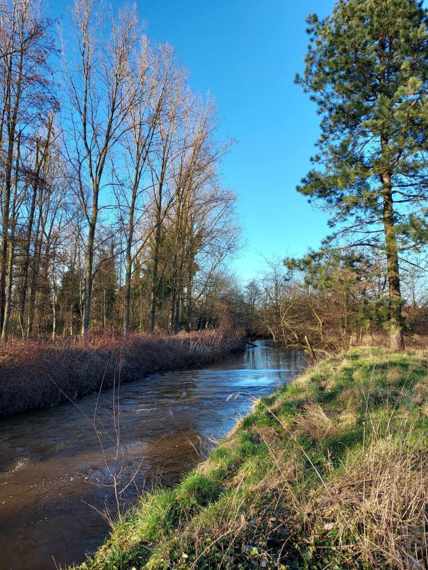 Rustig Gelegen Chalet Solvo Met Terras Aan Het Water Geel Exterior photo